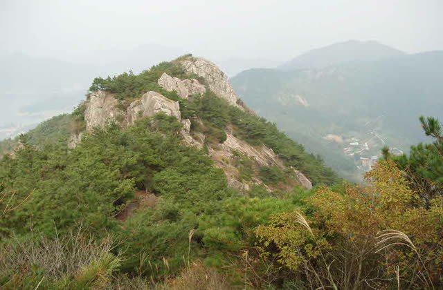 구절산